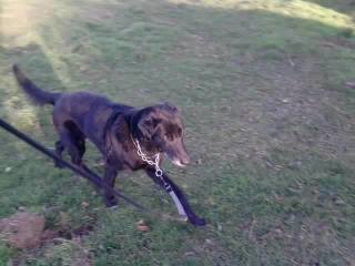 Louna