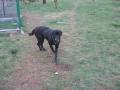 Louna