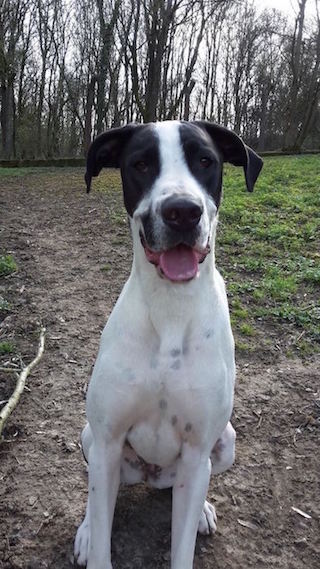 Neela
