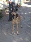Siux